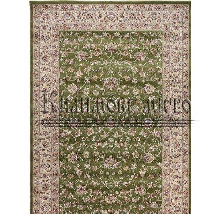 Високощільний килим Royal Esfahan 3046A Green-Cream - высокое качество по лучшей цене в Украине.